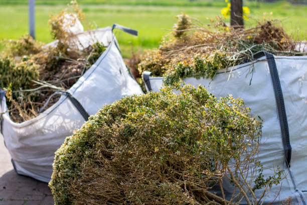 Reliable Taylorsville, NC Junk Removal Services Solutions